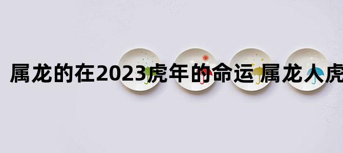 '属龙的在2023虎年的命运 属龙人虎年运势'